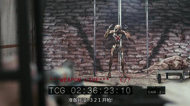 九岁酷皇后*，九岁酷皇后为什么不更了（《第九区》距今已十年了）