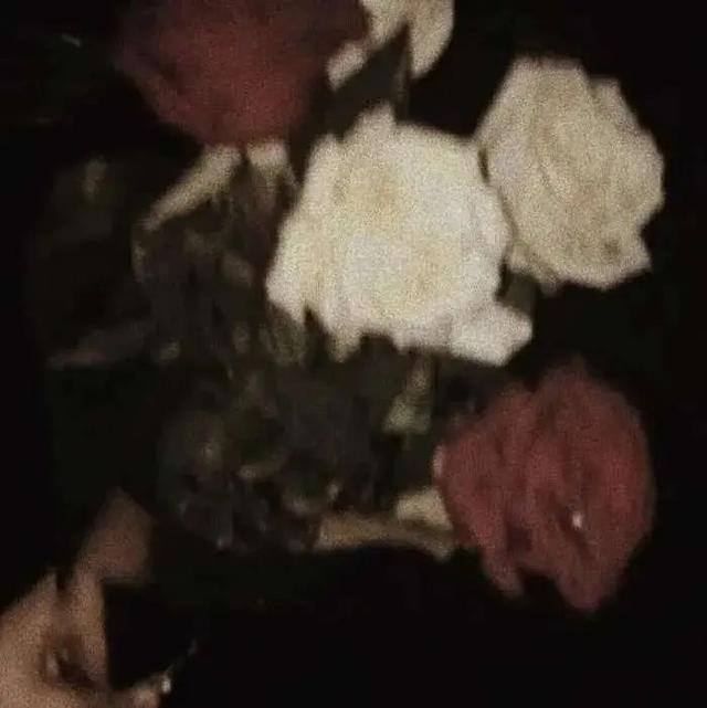 优质背景图，背景图片素材（优质背景图合集）