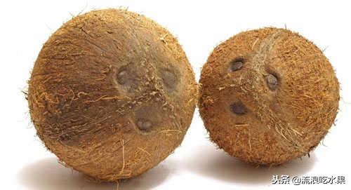 椰子的保质期是多久 没打开的，没开口椰子保质期多久（海南水果推荐——椰子）