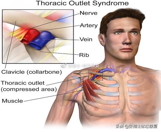 横膈膜呼吸法，对核心稳定性和颈肩痛有什么影响（横膈膜呼吸法有什么用）