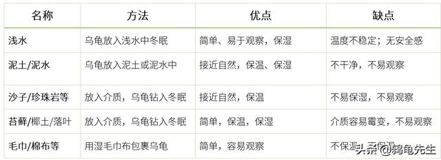 养龟怎么让乌龟冬眠，鸫龟先生干货分享乌龟冬眠方法全套解决方案