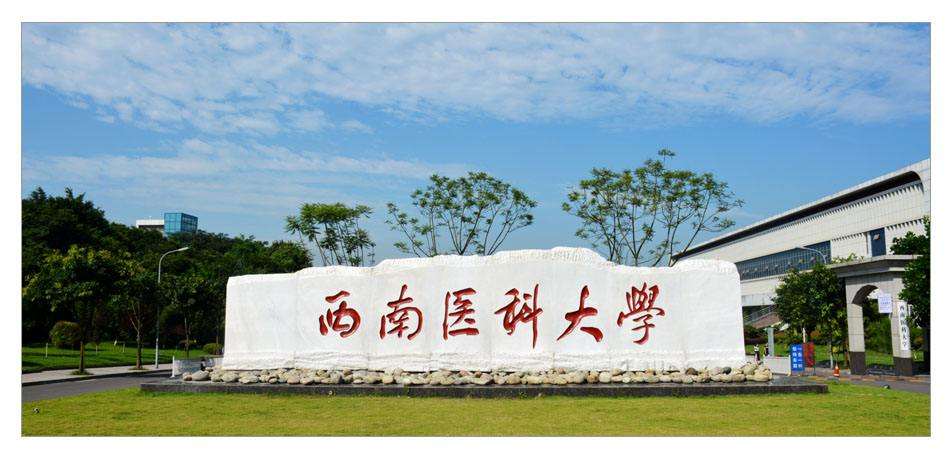 西南医科大学是几本()