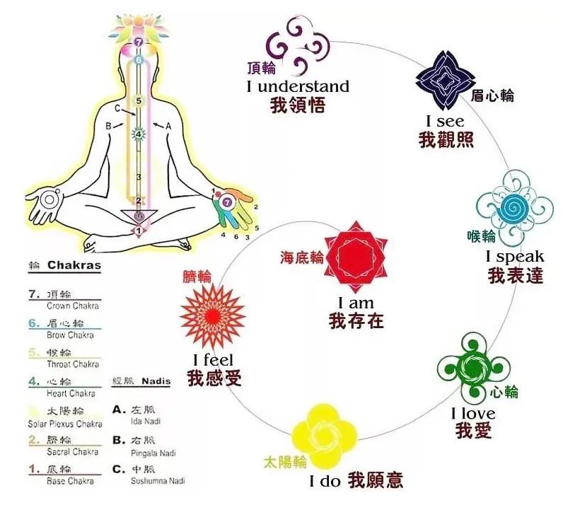 瑜伽流派有哪些种类，传统瑜伽派别的具体分类及特点