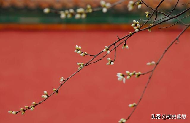 朱瞻基的妃子及皇后，朱瞻基有多少老婆（活在婆婆阴影下的继后）