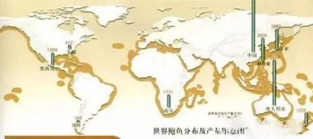 20种鲍鱼种类，世界鲍鱼品种大全