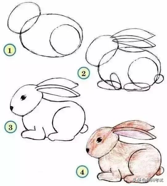 儿童的简笔画简单又好看，孩子们最爱的简笔画