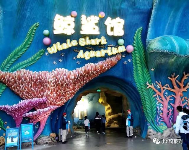 珠海长隆游玩攻略，珠海长隆游玩攻略图（带娃去珠海长隆该怎么玩）