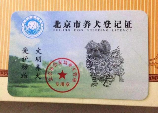 办狗证有什么用，狗狗办了狗证有什么用（狗狗或面临被“处死”风险）