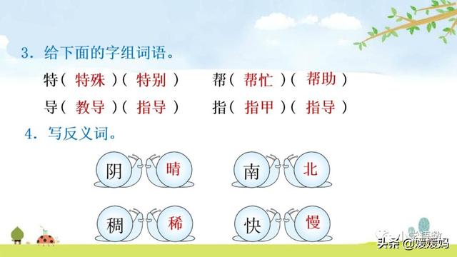 野外辨别方向的方法有哪些，野外辨认方向的6种方法（二年级下册语文17《要是你在野外迷了路》图文详解及同步练习）