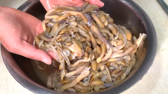 蛏子怎样去除内脏图解，蛏子怎么清除内脏（退潮时多抓一些放冰箱）