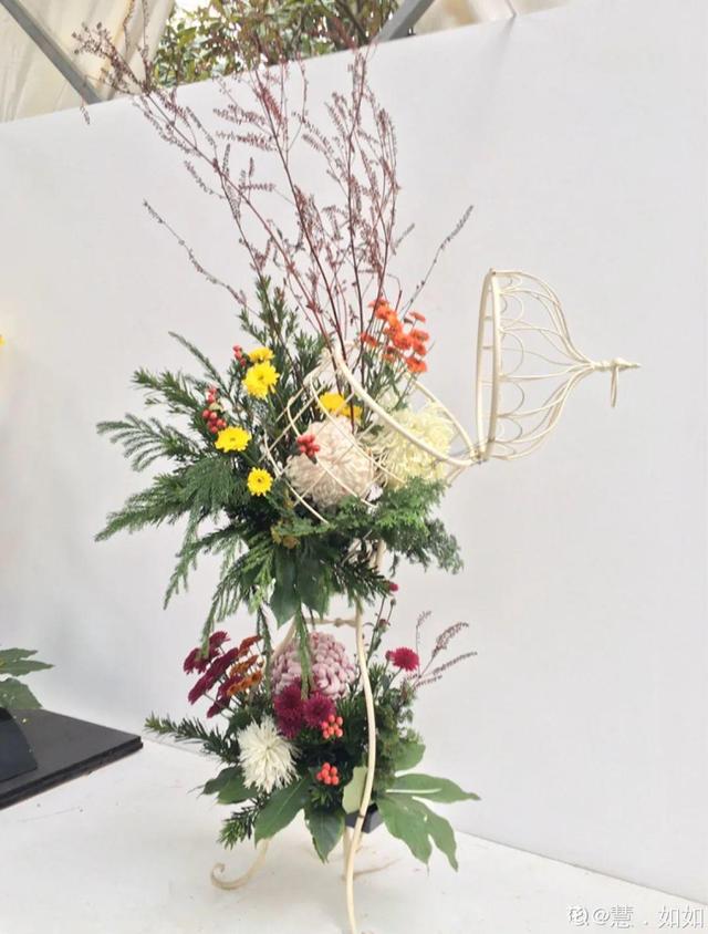 荷花有几种颜色，莲花有几种颜色分别是象征什么（1盆菊花售价1.2万）