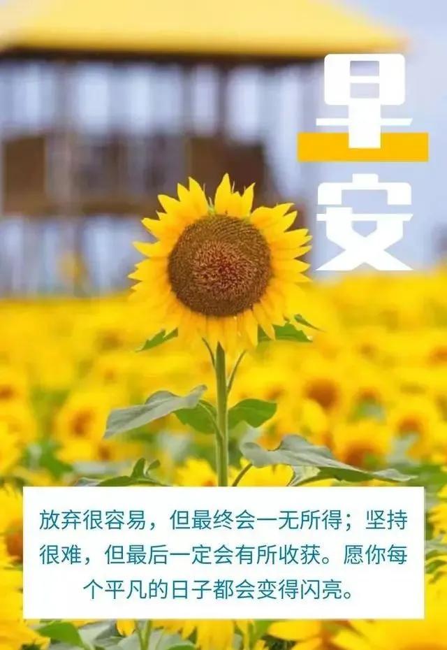 光棍节2021年几月几号，2021年还剩多少节日（正能量最新短句图片）