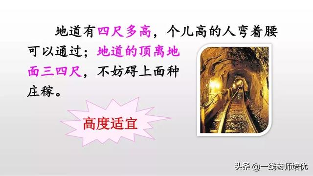 侵可以组什么词语，侵可以组啥词（部编版五年级上册第8课《冀中的地道战》重点知识点+课文讲解）