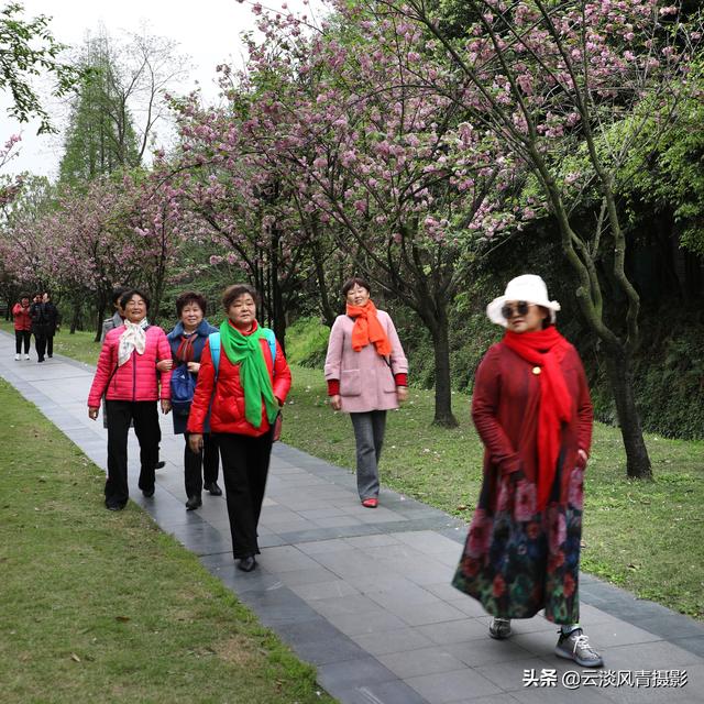 最简单能令人放松心情的图片 偶尔防空一下自己，让人心情放松的图片（醉倒在那片春色里）