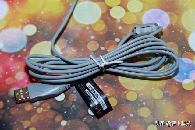 divina跳蚤防治，吡虫啉灭跳蚤（职业FPS选手标配）