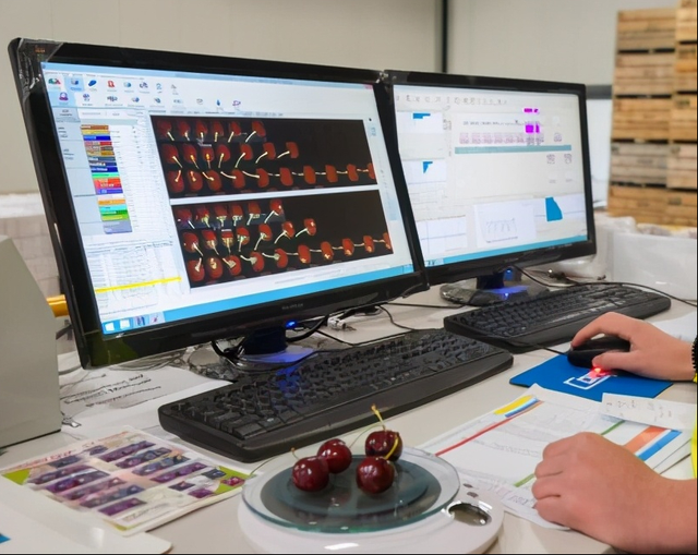 车厘子的寓意与象征，为什么总有人说“中国的樱桃是酸的