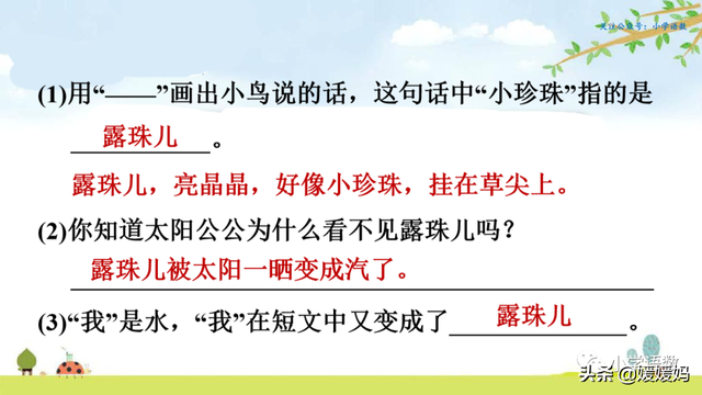 晒组词，晒组词二年级上册（部编版二年级语文上册第2课《我是什么》课件及同步练习）