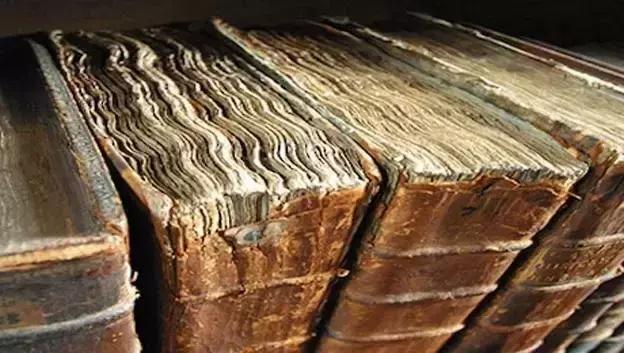 哲学意境头像 做了狗就别指望我把你当人看2.15微信，哲学意境头像 做了狗就别指望我把你当人看2.15（我们生活在一个哲学没落的时代）