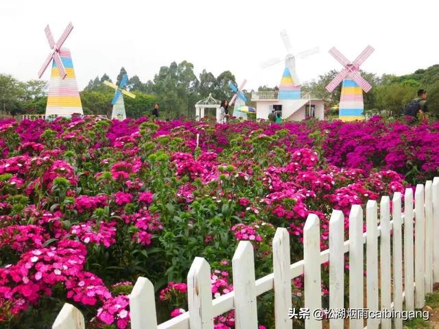 东莞梦幻百花洲，东莞梦幻百花洲怎样（梦幻百花洲）