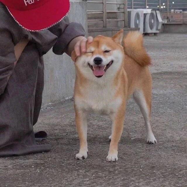 古诗情侣名,冷门古诗情侣名(如何用一句诗来官宣恋情) 古诗情侣名,冷门古诗情侣名(如何用一句诗来官宣恋情)