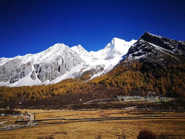 稻城海拔是多少，稻城海拔多少米会有高原反应吗有老虎吗（为什么有些游客说不去后悔一生）