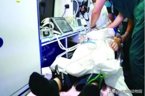 人会被自己的口水呛死吗，怎么会被自己的口水呛到（如何成为钓鱼人的噩梦）