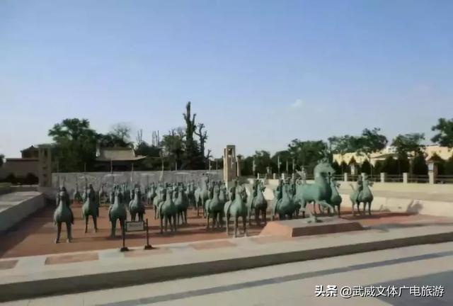 0935是哪的区号,095是哪个地方的区号(这是我2019年最新简历) 0935是哪的区号,095是哪个地方的区号(这是我2019年最新简历)