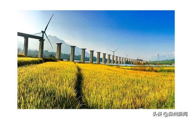 jkmtl00是什么型号，jkmal00是什么型号的（2020年凉山第二届全民手机摄影大展作品欣赏）