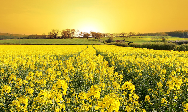 隐忍不发怎么过，隐忍不发是成语吗（怒而不发的星座）