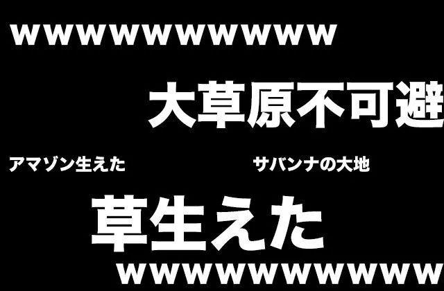 日语中草什么意思，日语里草什么意思（是在学中文骂人吗）