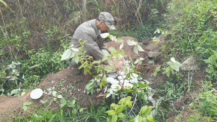 哈尼是什么意思，哈尼是什么意思在中国（哈尼族祈祷风调雨顺的这个民间习俗）