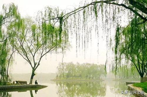 浅草才能没马蹄的上一句是什么，浅草才能没马蹄的上一句是什么这是以什么赞西湖（乱花渐欲迷人眼）