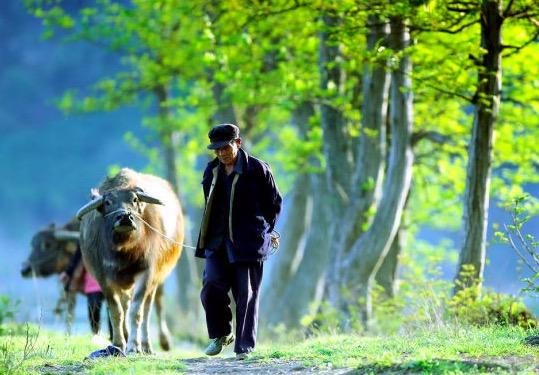 仙宗十友顺口溜，仙宗十友顺口溜记忆法（宋之问最经典的一首诗）