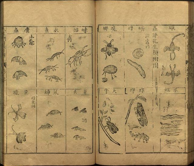 本草纲目全书带图，李时珍本草纲目全书（李时珍著《本草纲目》附图卷）