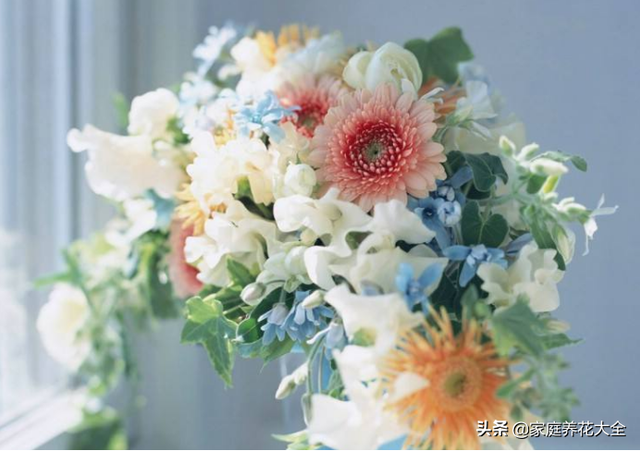 玫瑰花怎么保存，鲜花如何保存（花店御用保鲜秘籍）