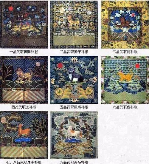 司长是什么级别的官，司长是什么级别的干部（清朝官员品级相当于现在的什么级别）