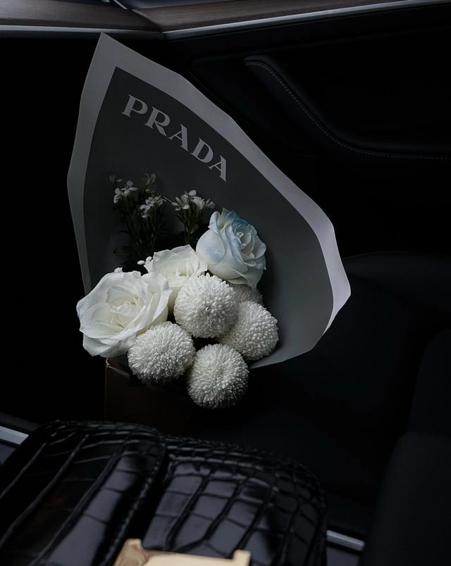 陶白白说巨蟹座文案，陶白白的白羊座文案（“关于陶白白说的星座文案”）