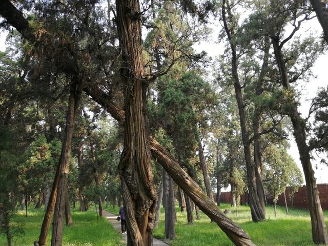 东汉天降陨石，刘秀坟的传说