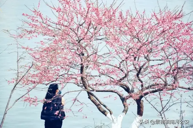 描写春夏秋冬四季的古诗，春夏秋冬四季古诗（诗词丨《唐诗三百首》中的四季）