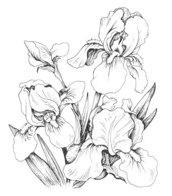 简单的花怎么画，如何画小花花简笔画（一朵花，简单的几笔就可以了）
