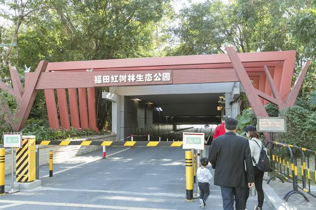 福田红树林生态公园带小伙伴们一次打卡18个游玩地~「深圳地铁3号线