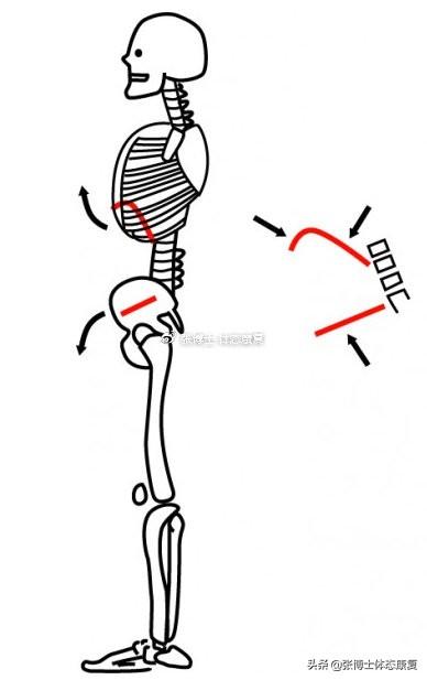 横膈膜呼吸法，横膈膜呼吸法有什么用（<膈式呼吸>对核心稳定性的影响）