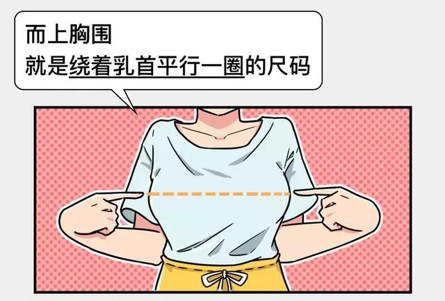 36d是什么意思啊多大，36d是什么意思（男生根本就不懂女生的罩杯）