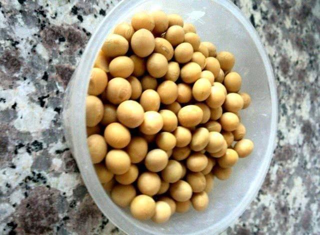 如何自泡绿豆芽，如何自己泡绿豆芽（一周长出鲜豆芽）