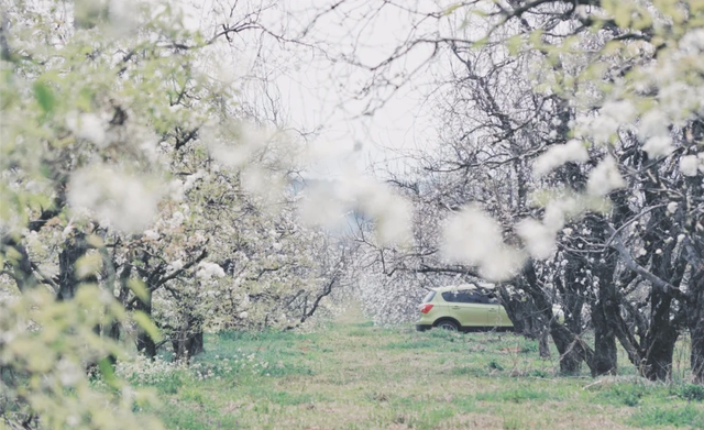 昆明好玩的地方，昆明好玩的地方排行榜（12个昆明近郊亲子自驾游好去处）