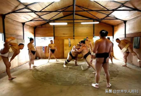 相扑运动员寿命，日本相扑冷知识（日本相扑选手因新冠去世）