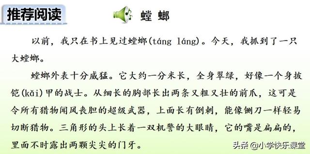 什么的硬翅，什么的硬翅？填四个字。（小学部编三年级语文下第4课《昆虫备忘录》图文+知识点+同步练习）