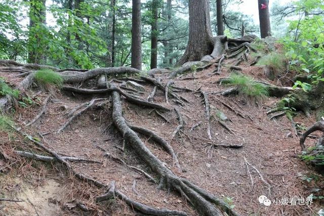 牡丹江有什么好玩的地方，敦化有什么好玩的地方（牡丹江柴河小九寨）