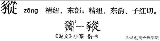 猪在古代的称呼，猪在古代叫什么（“猪”与“家”的汉字演变与文化内涵）