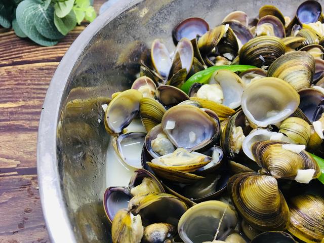 黄沙蚬煮汤的好处,黄沙蚬可以煮汤吗(它被誉为"西江鲍鱼")